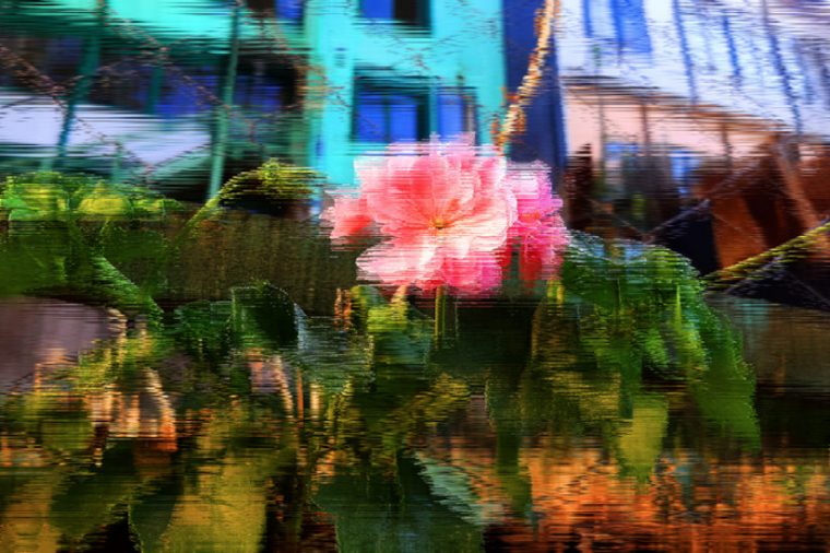 Frecuentar mi Jardín Imaginario, de Gregorio Fontén. Detalle.