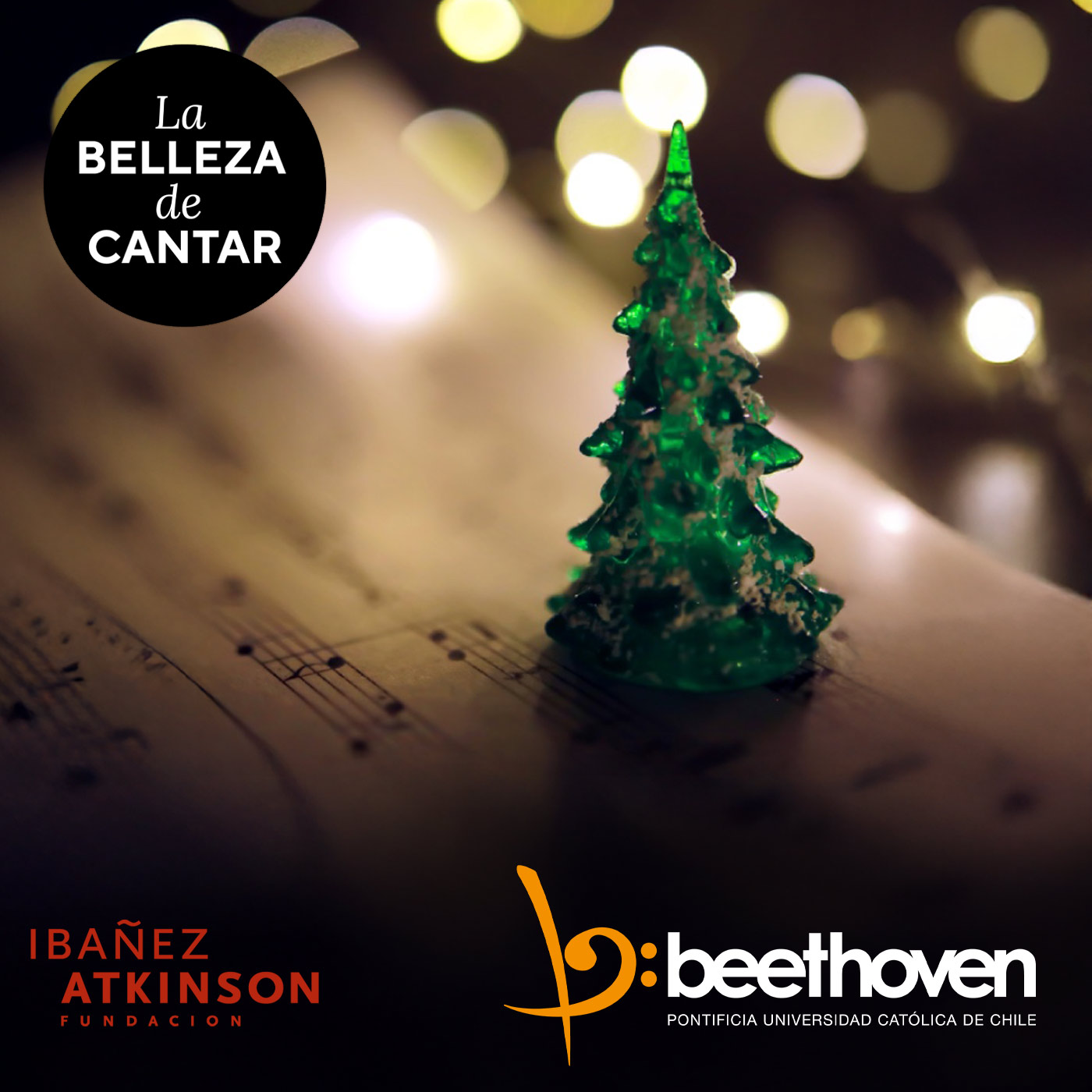 La Belleza de Cantar