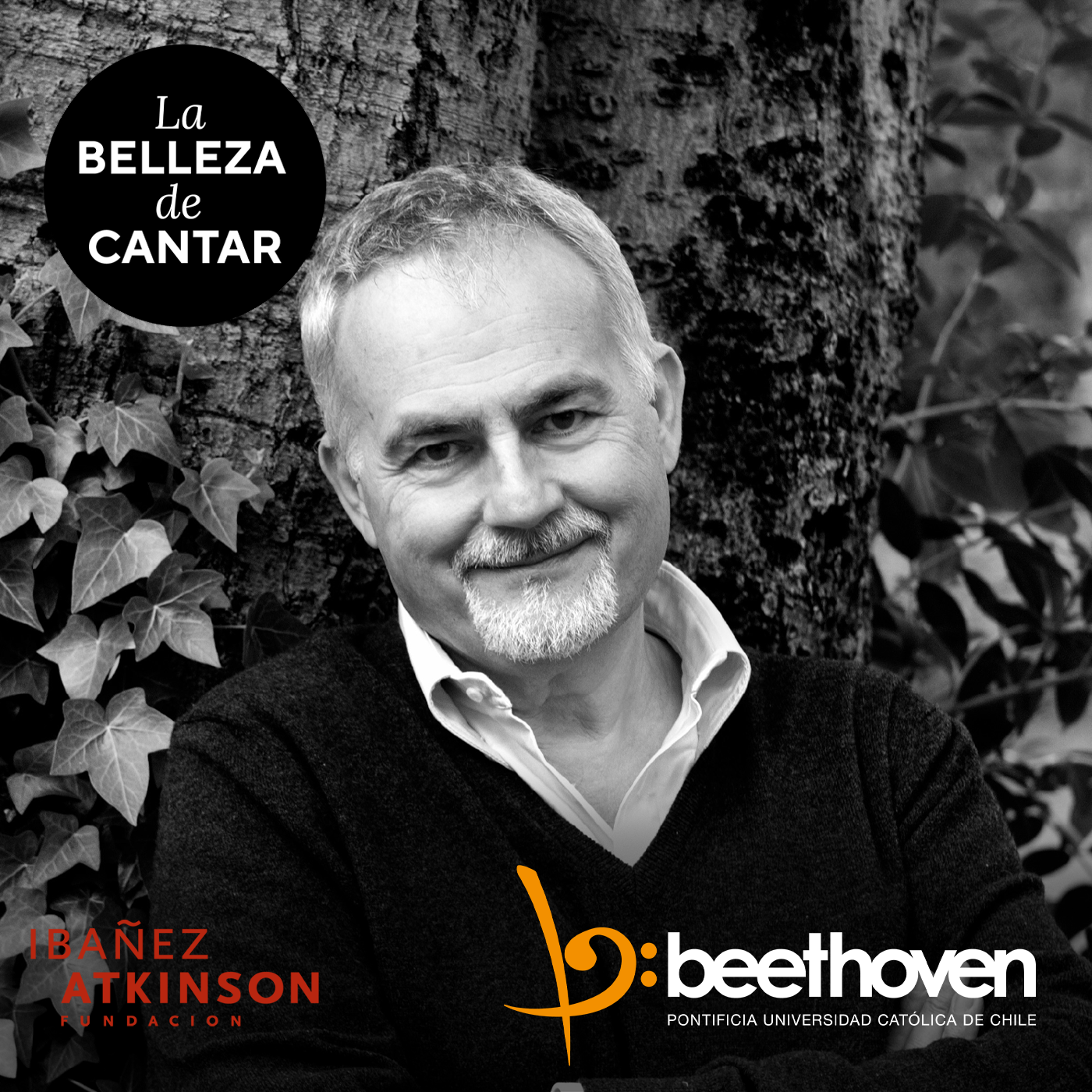 La Belleza de Cantar